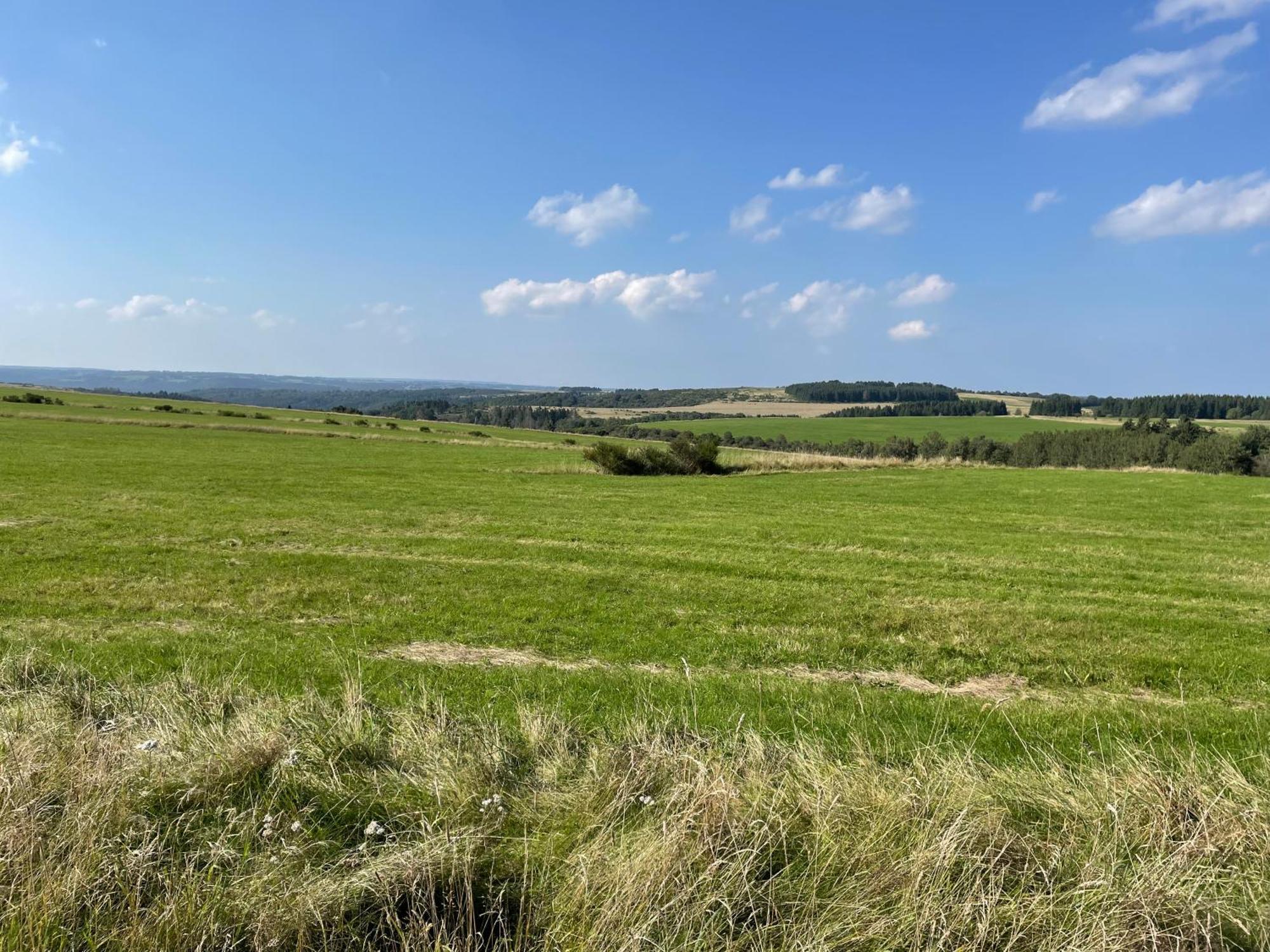 Wunderschoene Ferienwohnung Simmerath Eifel Nordeifel Nationalpark 外观 照片